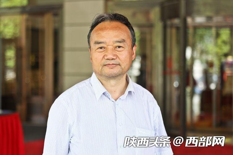 最新刑法刑事责任年龄，法律与社会发展的平衡考量探讨