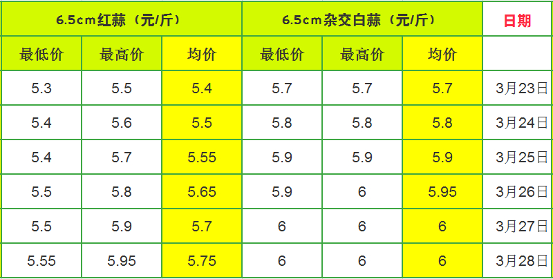 中国大蒜网最新价格行情深度解析