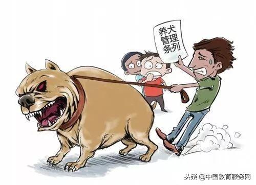 杭州最新养狗规定，推动人与犬共融，共建和谐社会