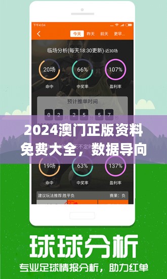 2024澳门免费资料,正版资料,持久性策略解析_储蓄版13.180