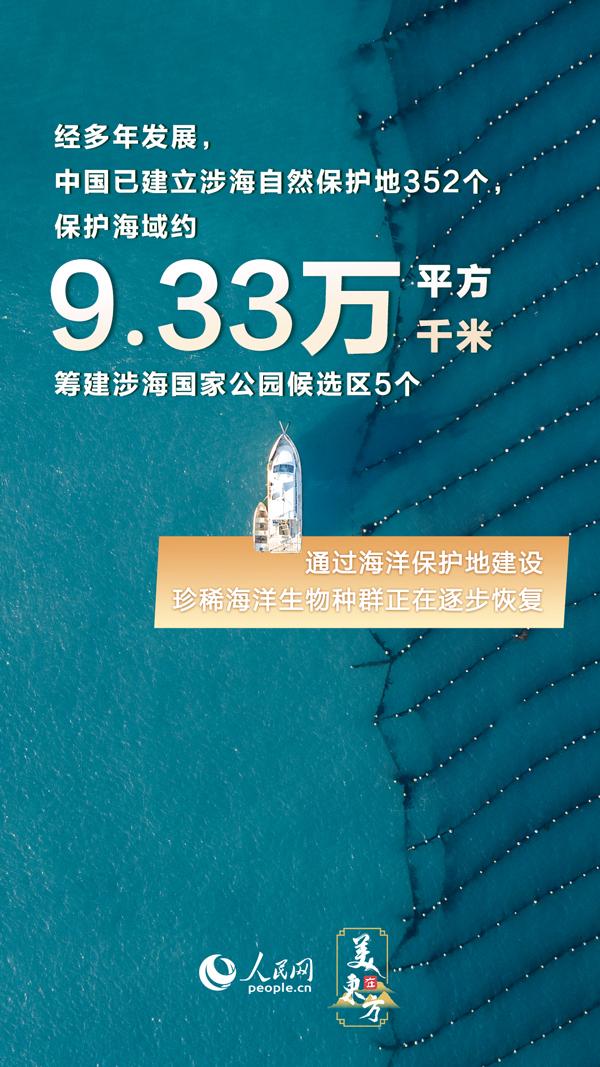 澳门一码一肖一待一中,持久性策略设计_专业款82.444