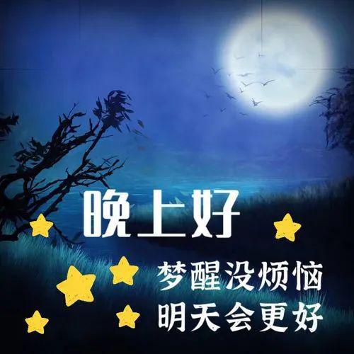 晚上好，探索最新图片的魅力世界