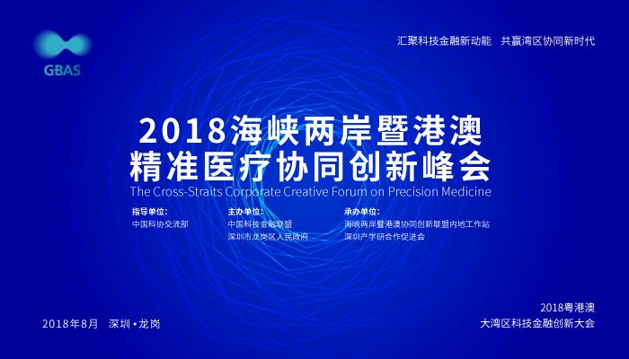 新澳精准资料免费提供267期,诠释解析落实_精简版40.589