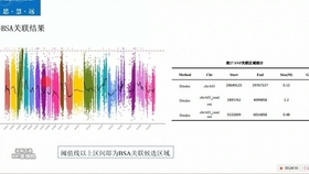 4949澳门免费精准大全,深入解析策略数据_RemixOS31.706