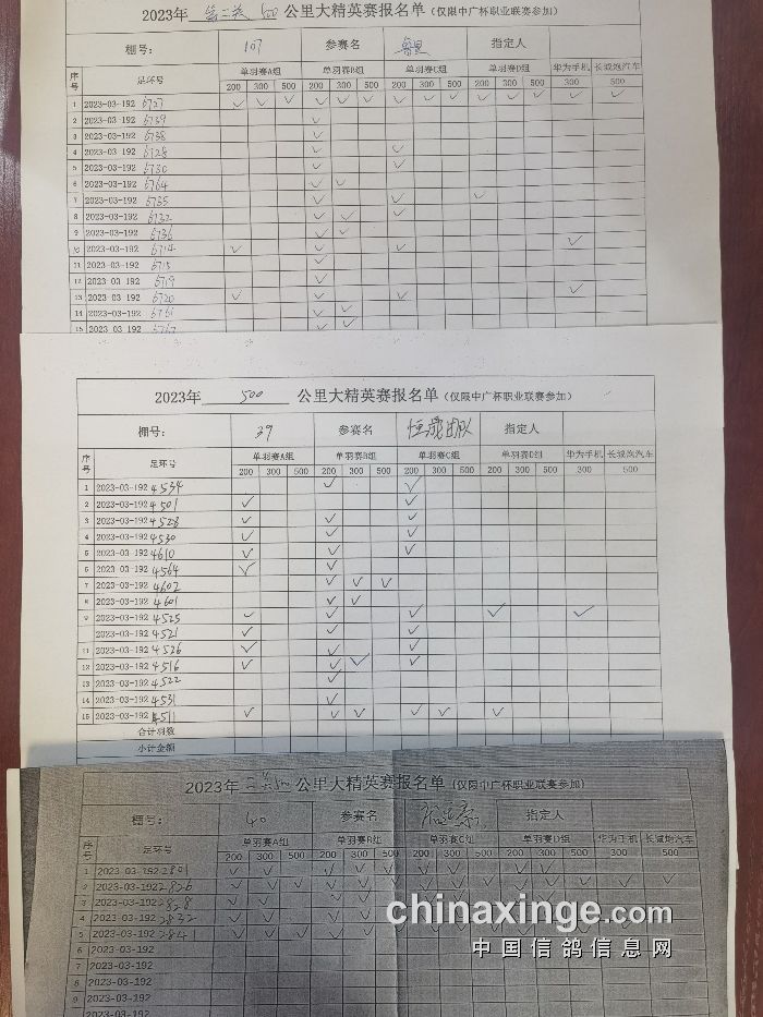 深州信鸽协会最新公告发布，内容摘要与活动更新