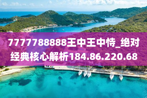 7777788888王中王中恃,实用性执行策略讲解_YE版56.453