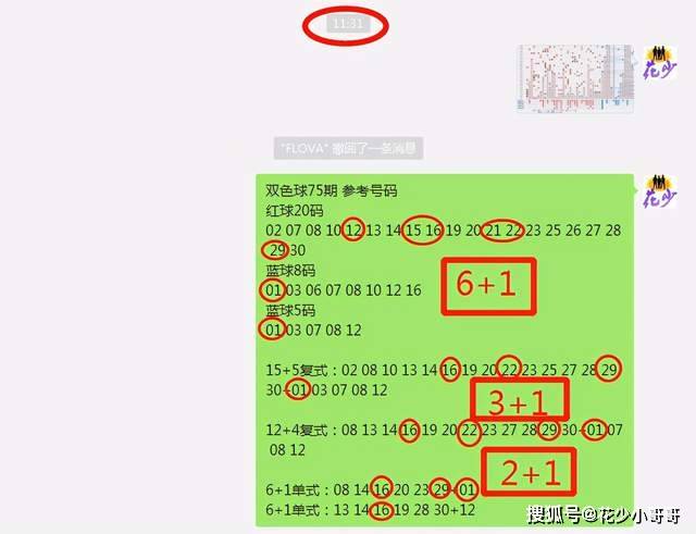 白小姐今晚特马期期准六,决策信息解析说明_PT43.400