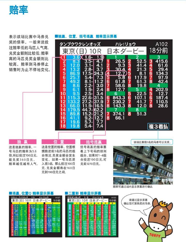 132688.соm马会传真查询,实地验证数据策略_专业款67.622