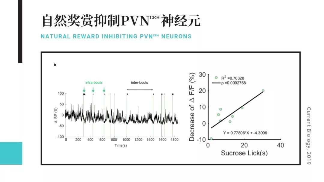 最准一肖100%中一奖,完整机制评估_UHD款70.701