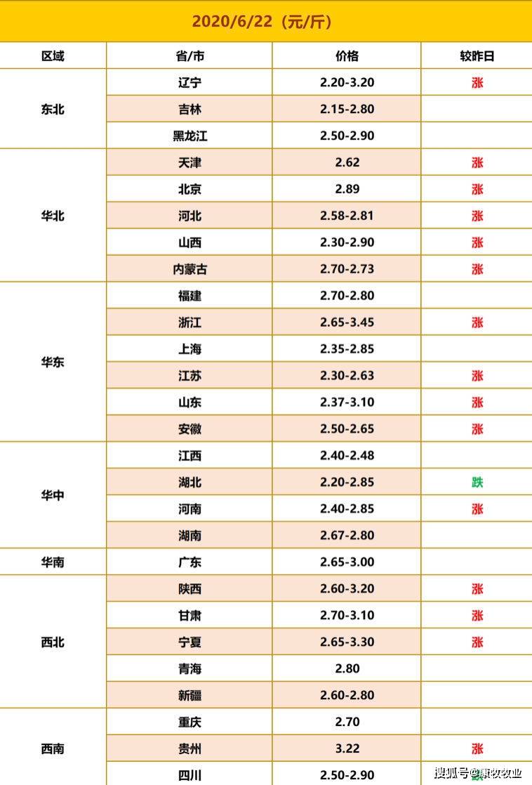 正版真精华布衣天下今天,精细化执行计划_Chromebook91.109