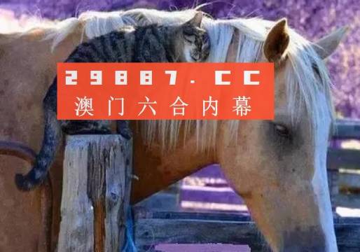 澳门一肖一码资料_肖一码,实践分析解释定义_专属款15.555