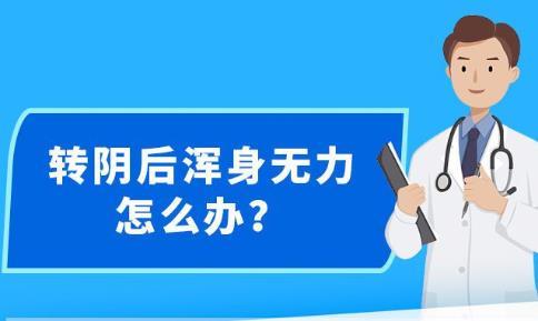 新澳精准资料免费提供,系统解析说明_WP81.848