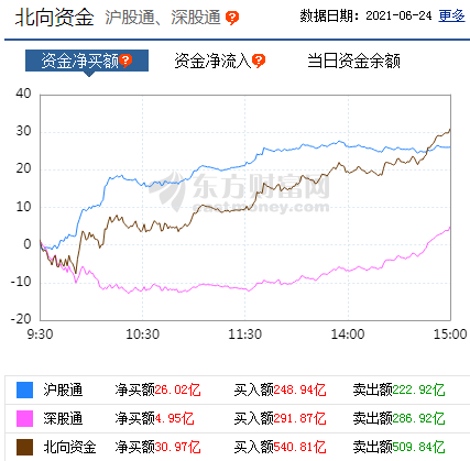 2004新澳门天天开好彩,国产化作答解释落实_Harmony19.943