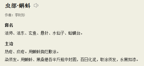 蝌蚪网最新版探索之旅与独特体验