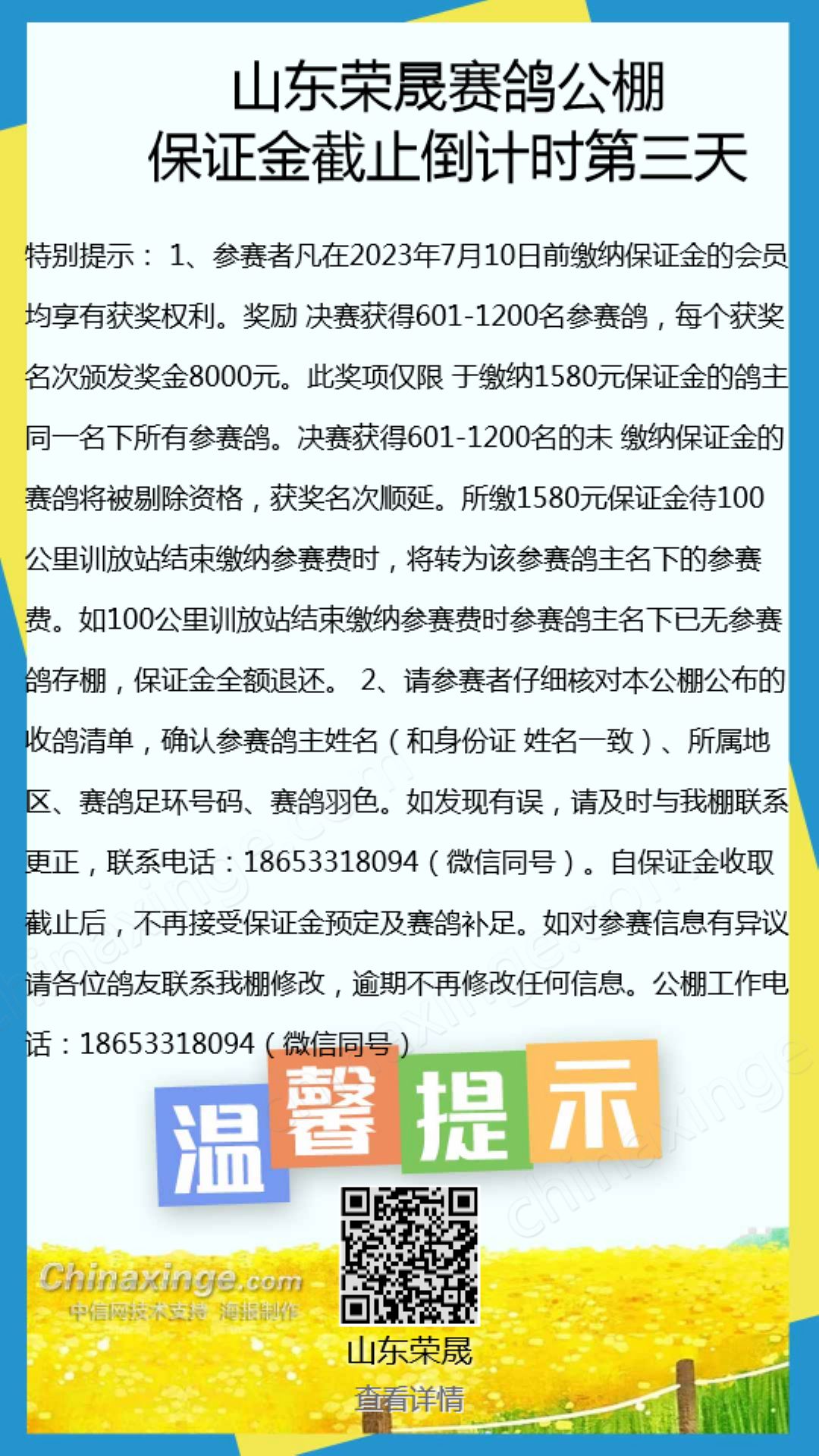 泉鑫公棚最新公告全面解析