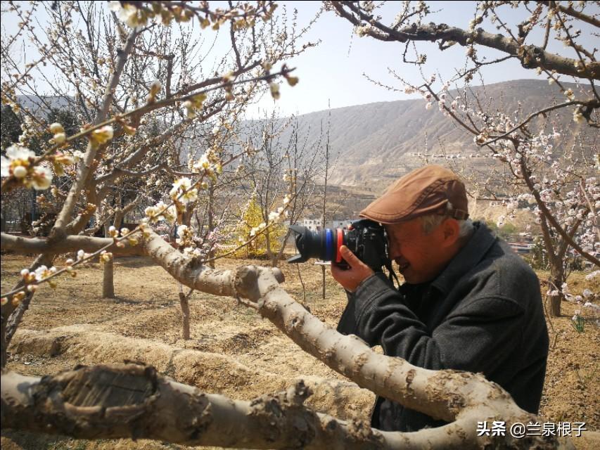 兰州市八里镇未来城市面貌重塑，最新规划揭秘