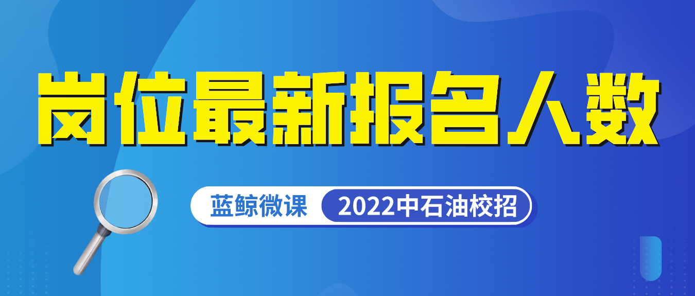 最新校招趋势深度解析，机遇与挑战并存的时代洞察