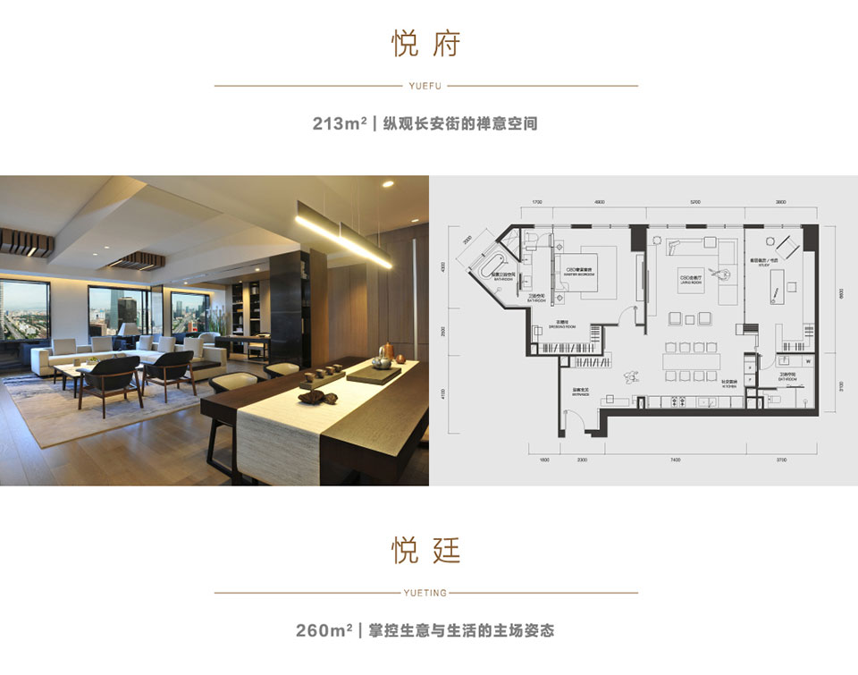 梵悦108房价动态及市场走势，购房指南与最新价格分析