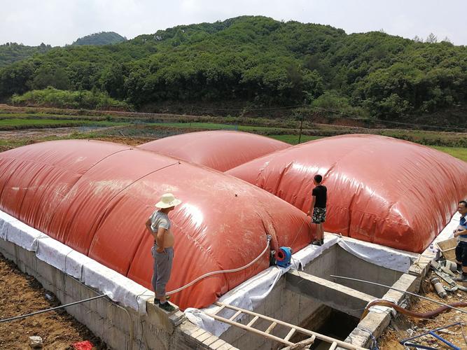 环保新里程碑，最新型沼气池引领能源革新