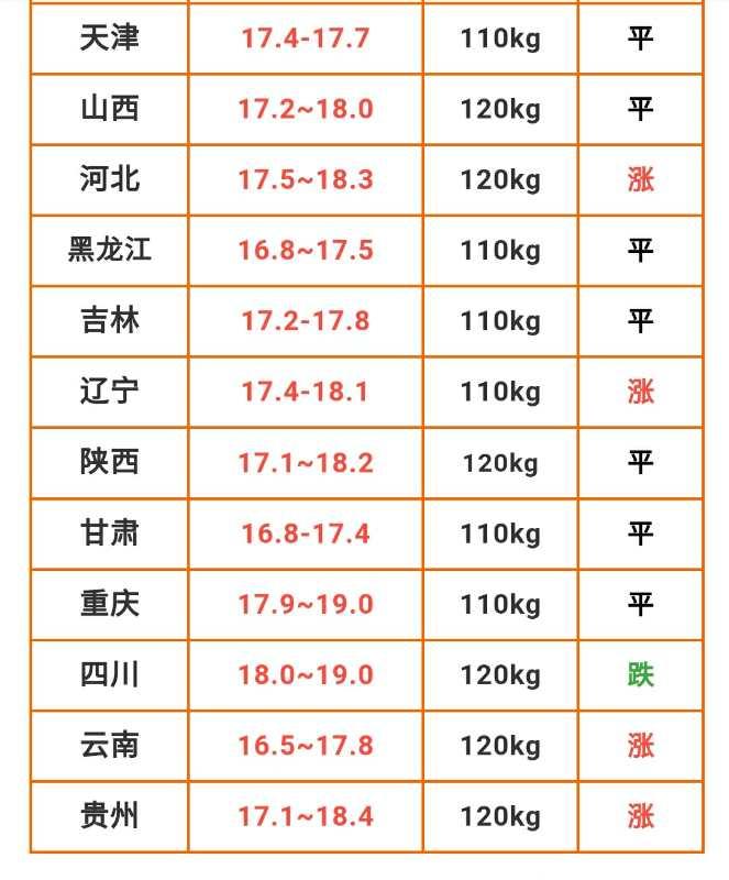 今日猪价走势分析，最新动态与展望