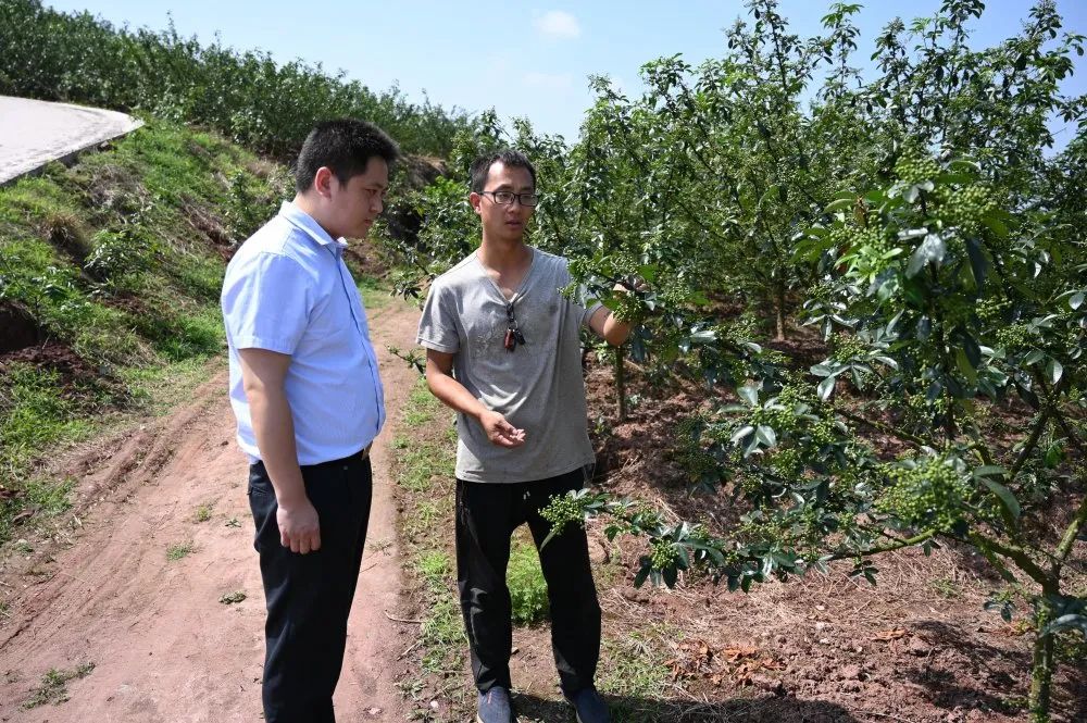 合川毛荣志最新去处研究报告揭秘其最新动态