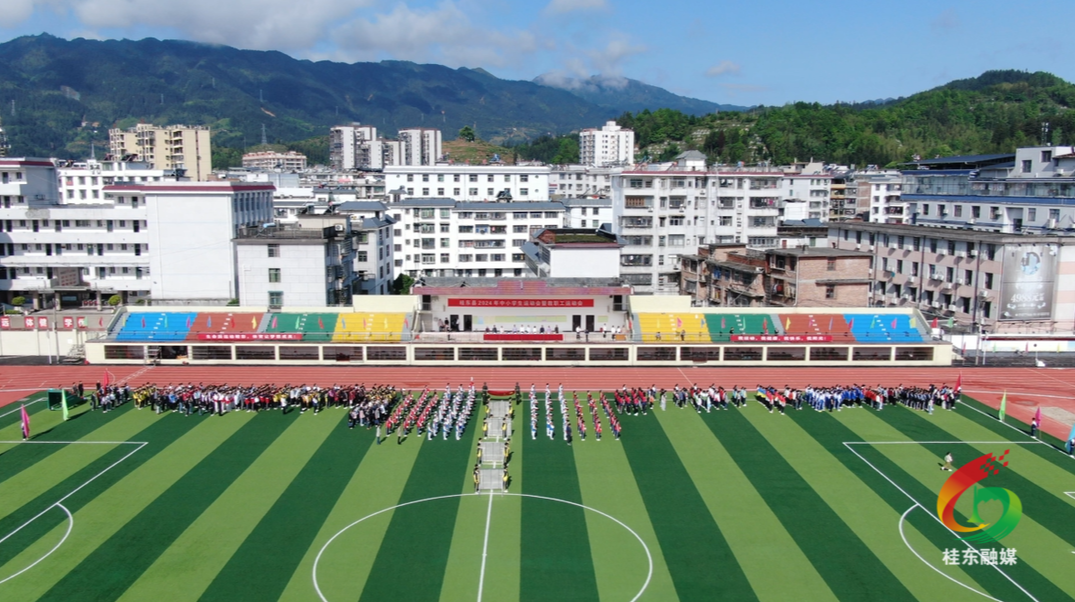 桂东县小学最新项目，探索与实践的启示