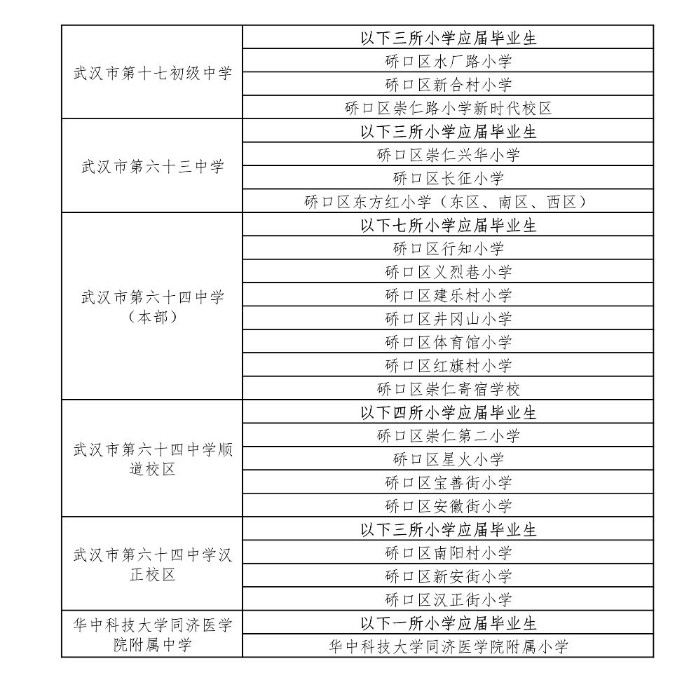 硚口区初中未来教育蓝图，最新发展规划揭秘