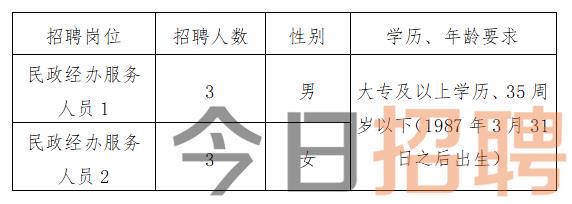 保靖县民政局最新招聘信息全面解析