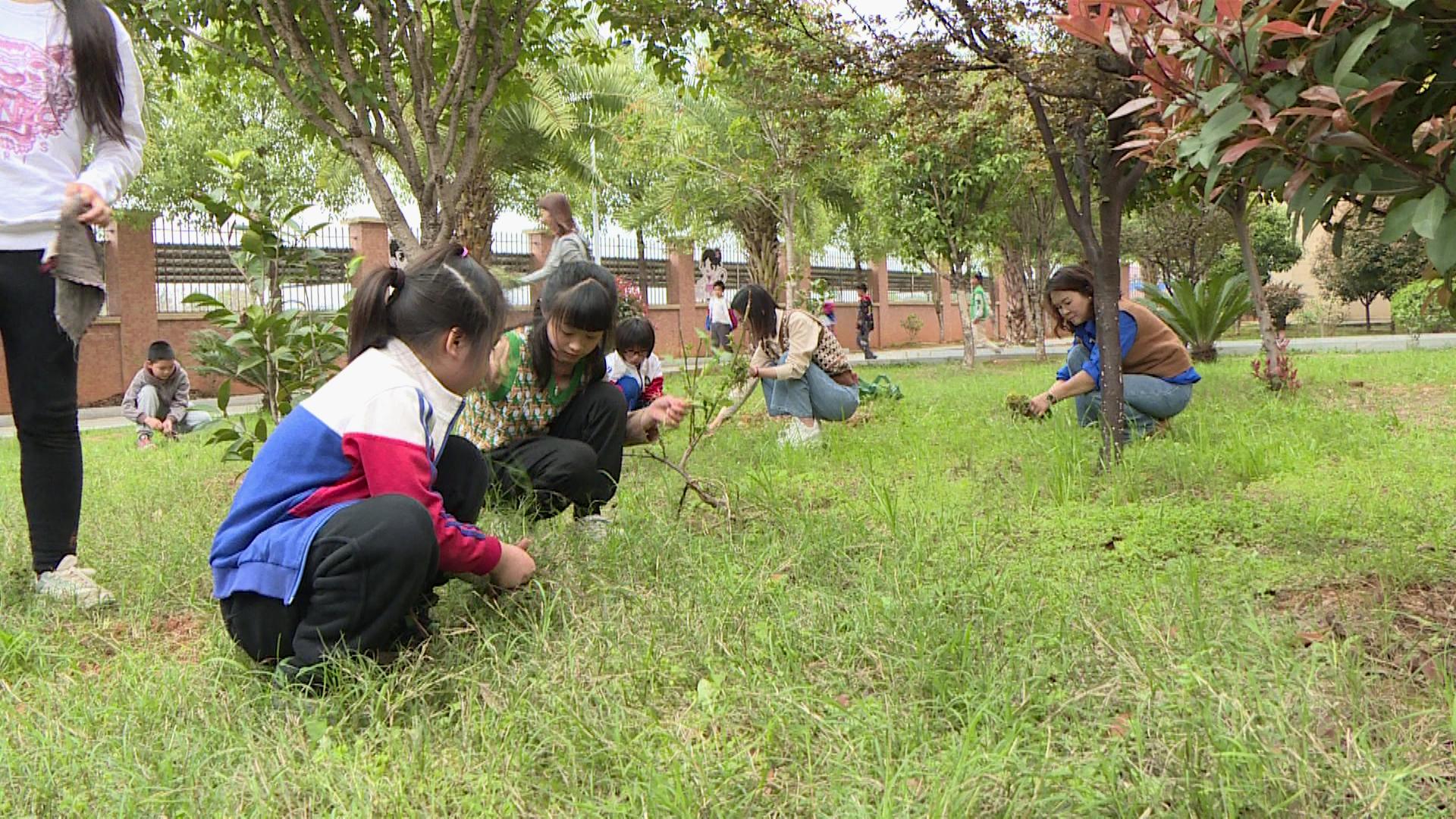 衡南县小学领导概览更新