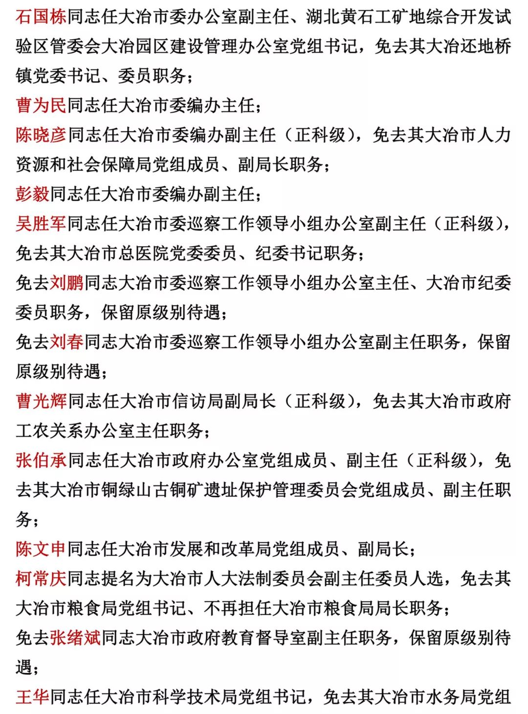 大冶市数据和政务服务局人事任命启动，政务数字化转型迈入新篇章