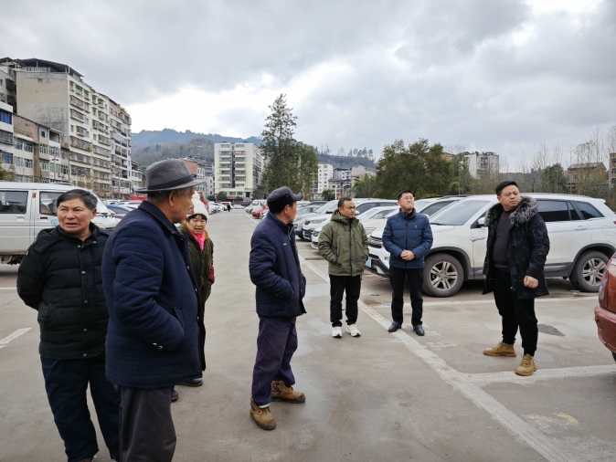 石柱土家族自治县医疗保障局项目进展及未来展望