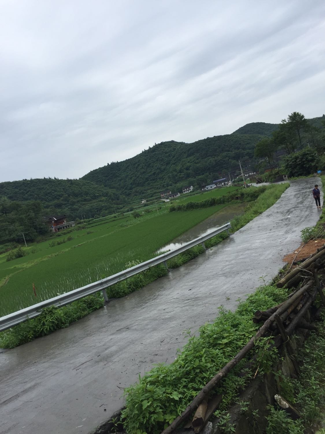 塔隆塘村天气预报更新通知