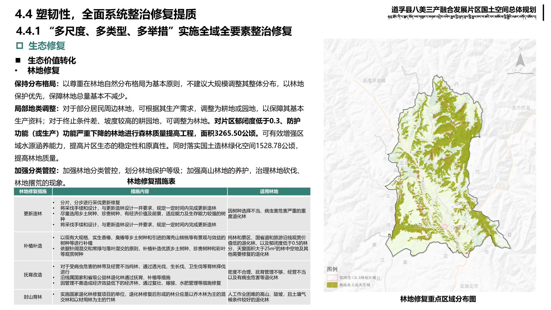 巍山彝族回族自治县小学未来发展规划概览