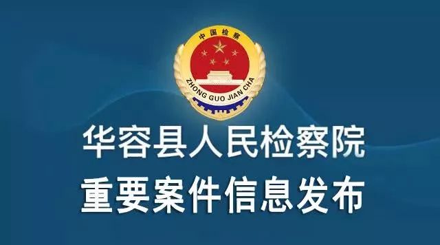 庆元县统计局最新招聘公告概览