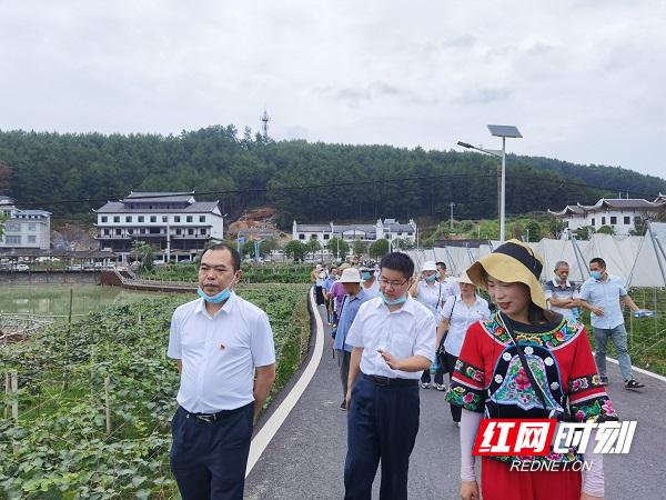 古丈县统计局最新项目概览与数据分析报告