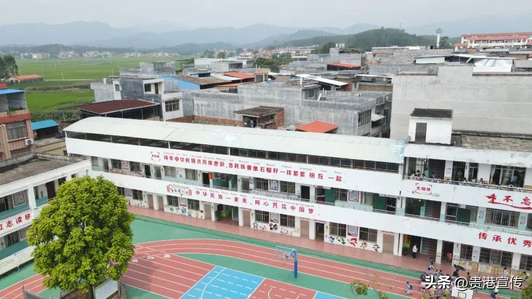 桂平市小学最新动态报道