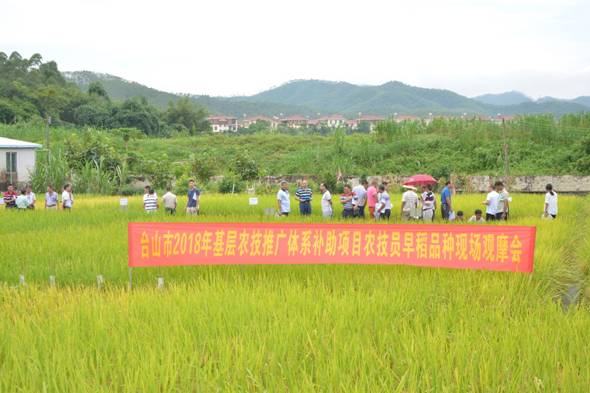 平遥县农业农村局新项目推动农业现代化，乡村振兴再添新动力