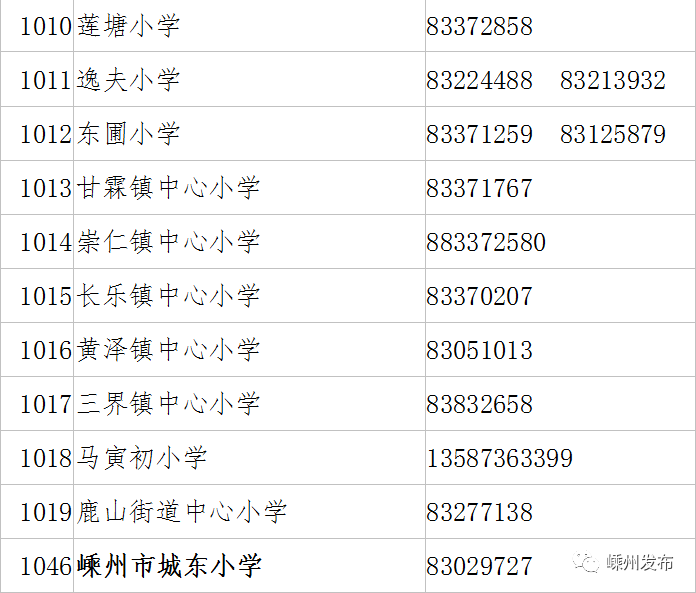 嵊州市小学全新招聘启事概览