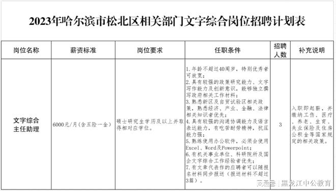 松北区统计局最新招聘详情解析