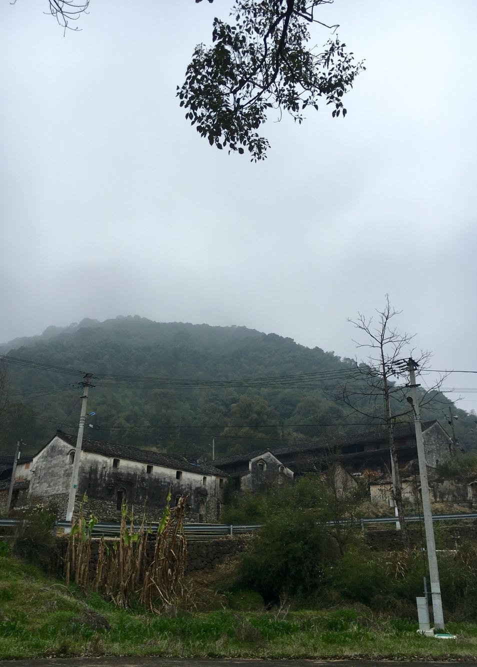 高峰乡天气预报及影响解析