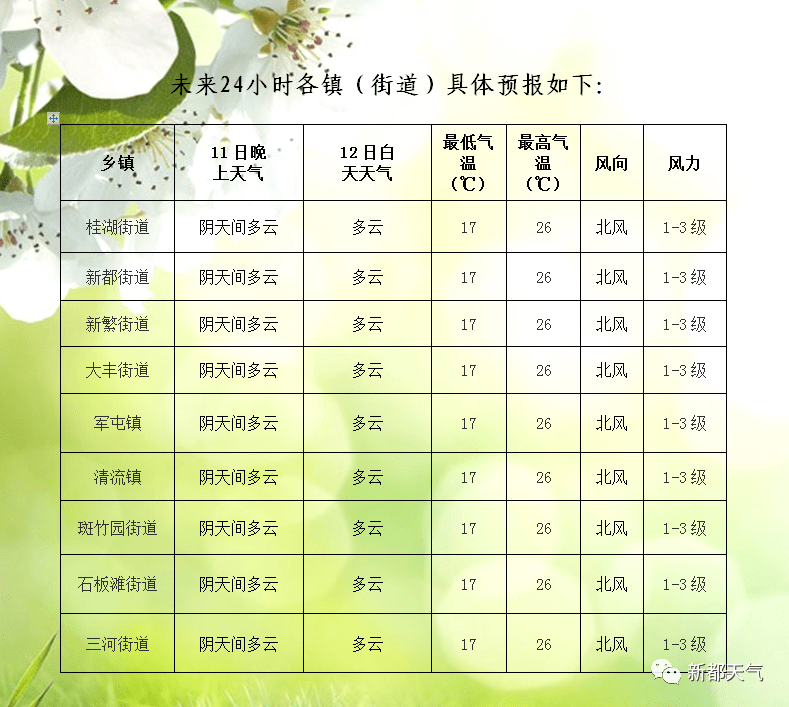 新政镇天气预报更新通知