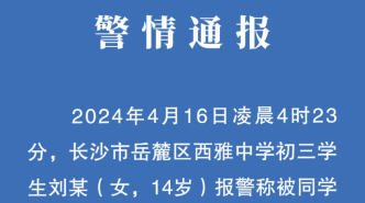 宁强县统计局最新招聘公告解析