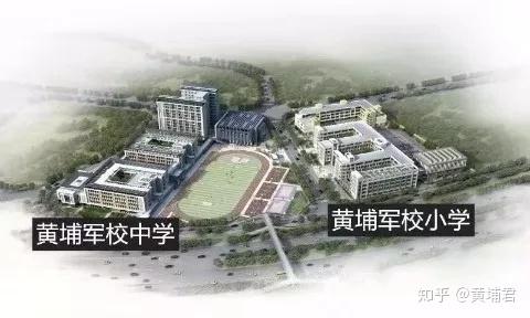 黄埔区小学未来教育蓝图，最新发展规划揭秘