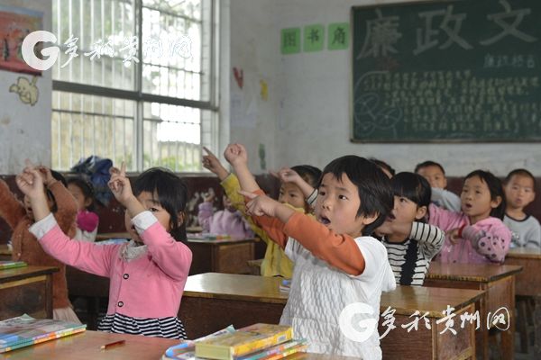 龙里县小学最新动态报道