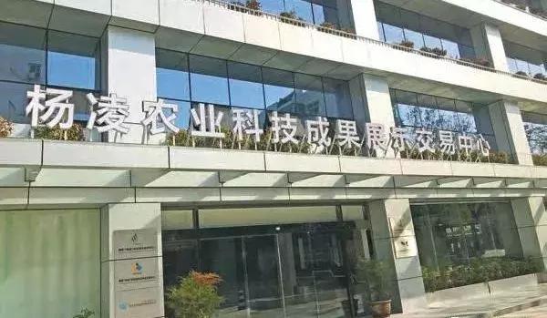 杨凌区图书馆最新动态报道